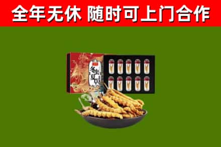 牡丹江回收冬虫夏草价格