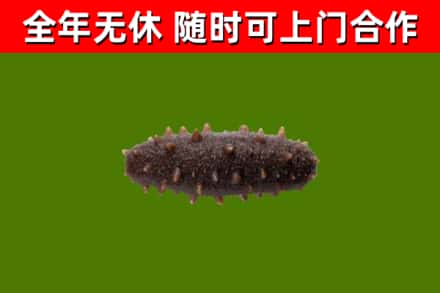 牡丹江回收海参干